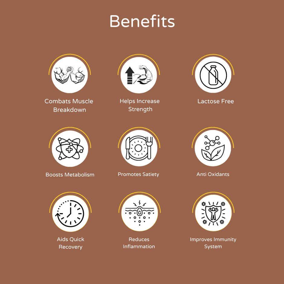 Whey Protein with Monk Fruit - Frappuccino (Pack of 10N Sachets)