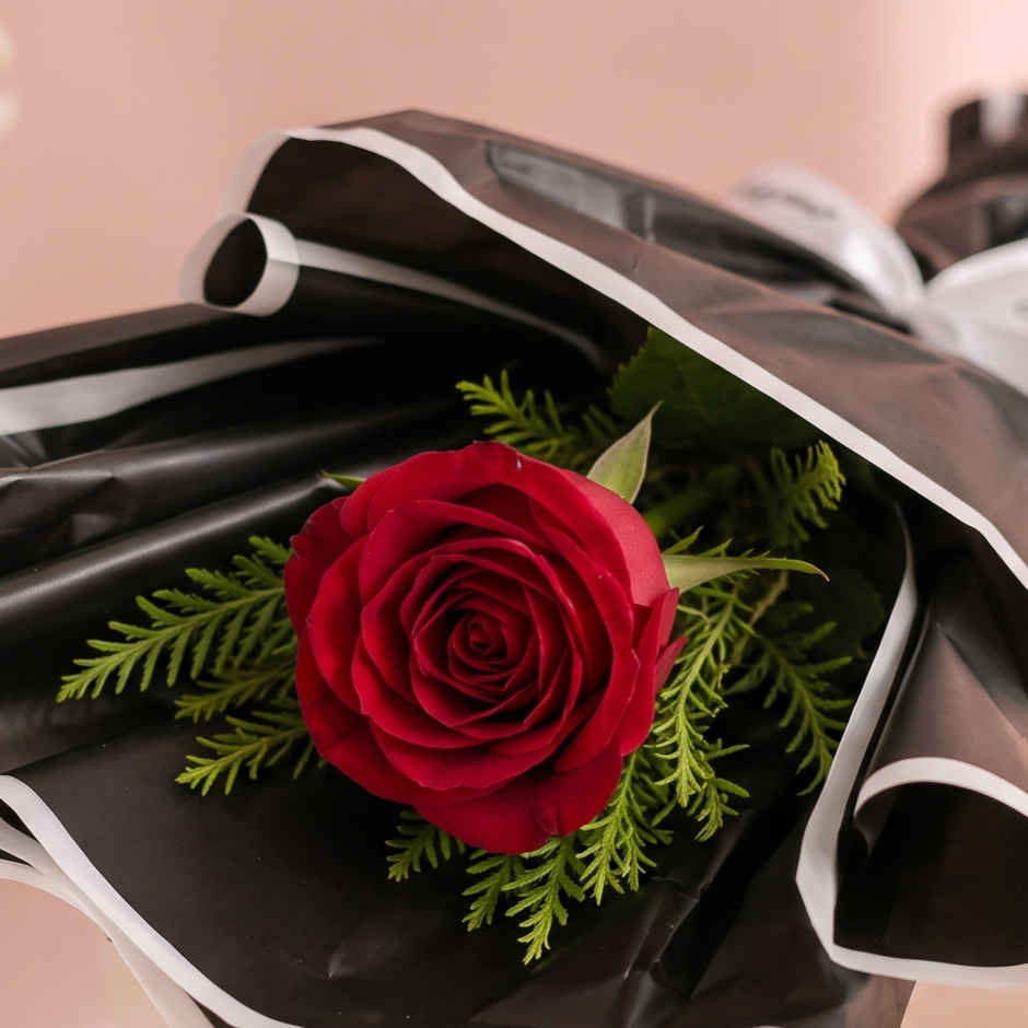 Spl Red Rose Bouquet | Gifting