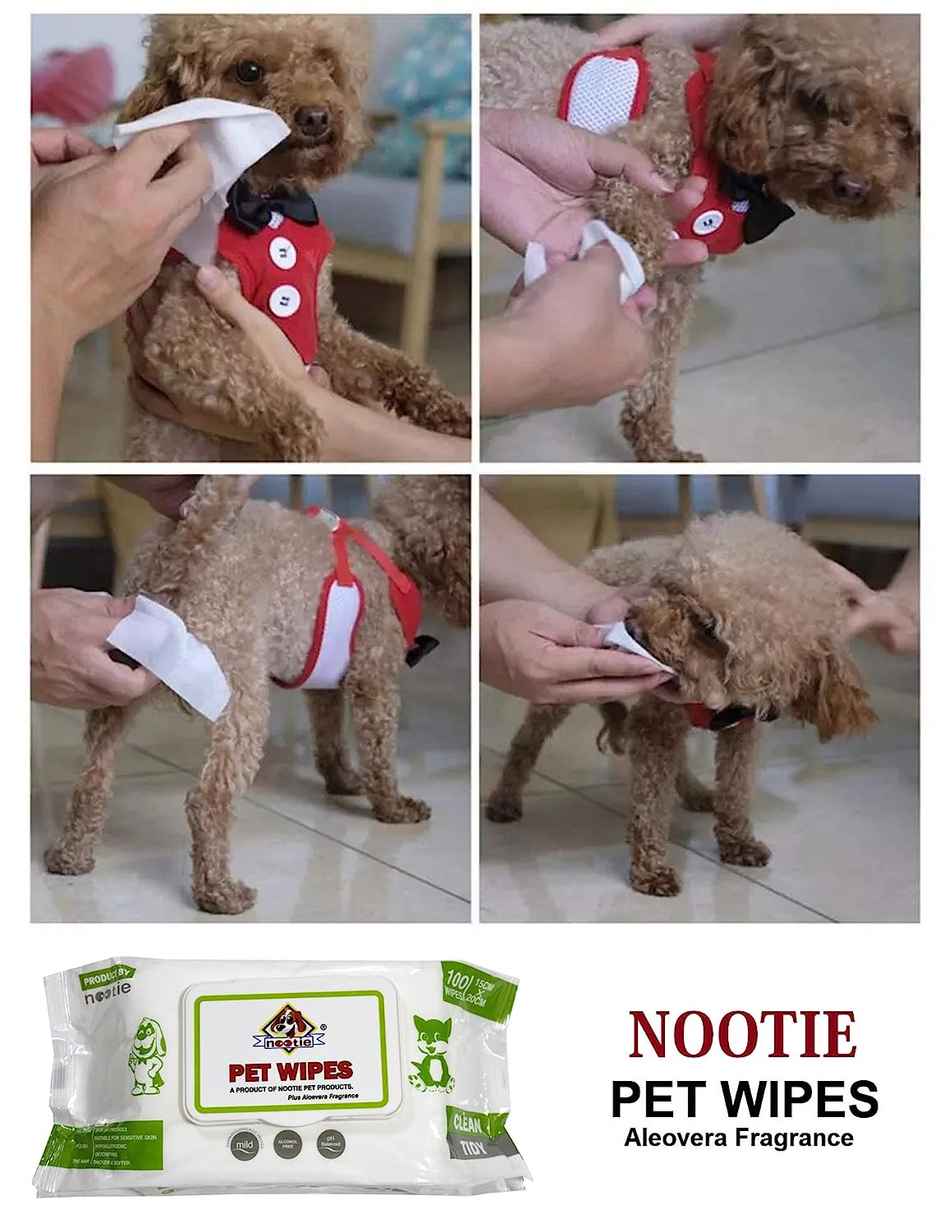 Nootie Pet Wipes For Pets (L) | 100 Pulls Per Pack