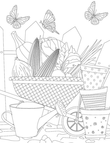Countryside- Colouring Book for Adults