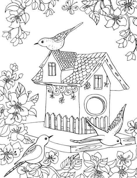Countryside- Colouring Book for Adults