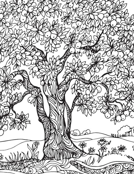 Countryside- Colouring Book for Adults