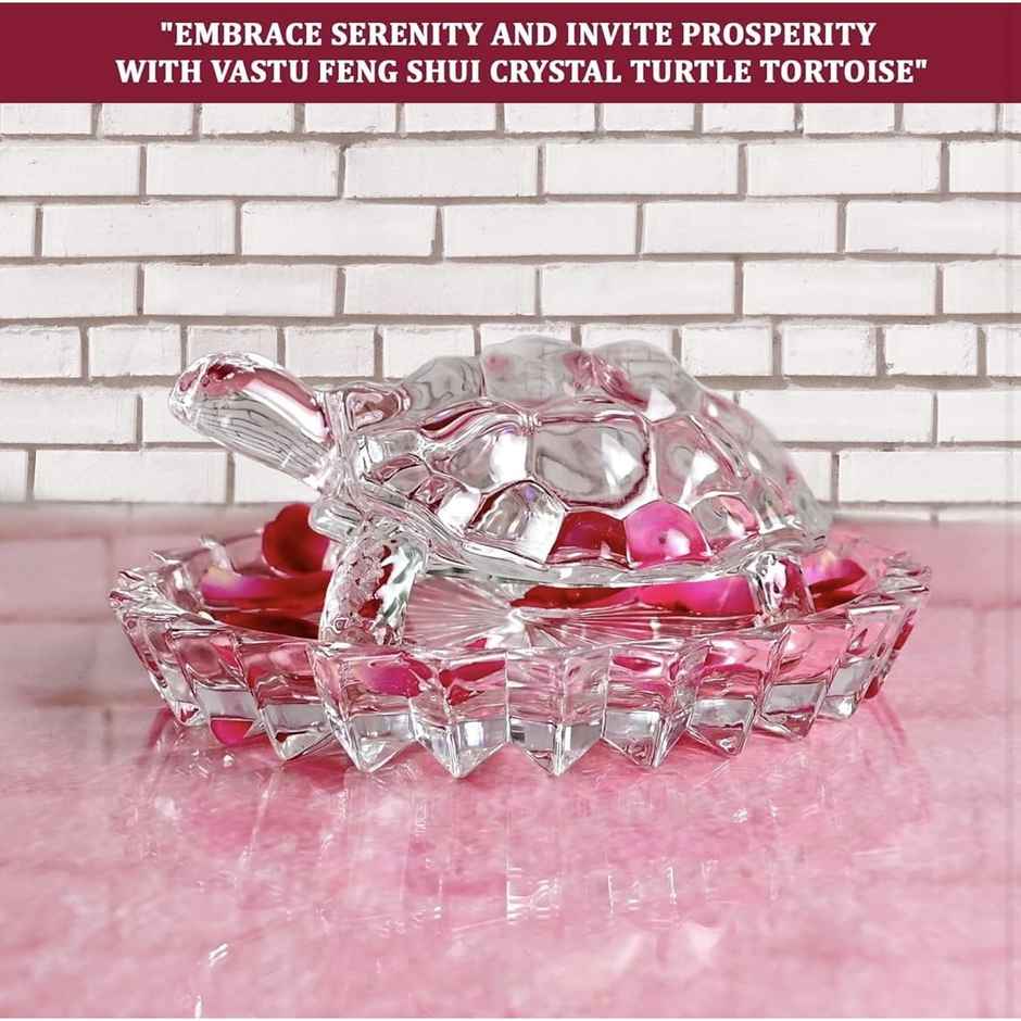Perpetual Glass Turtle Plate | Feng Shui Tortoise | Good Luck Turtle Vastu Gift | Home Decoration