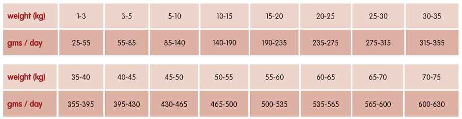 Arden Grange Adult Dog Fresh Salmon & Rice