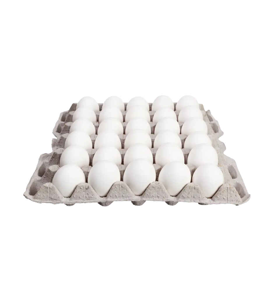 COOL EGGS