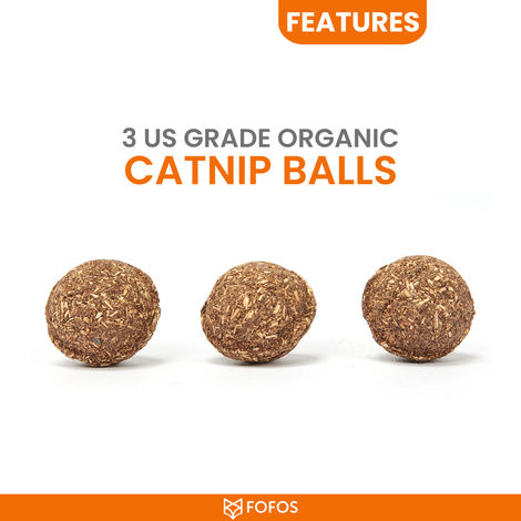 FOFOS Bluebird Cat Toy | Bird Sounds | 3 US Grade Organic Catnip Balls | Cat Toys For All Ages