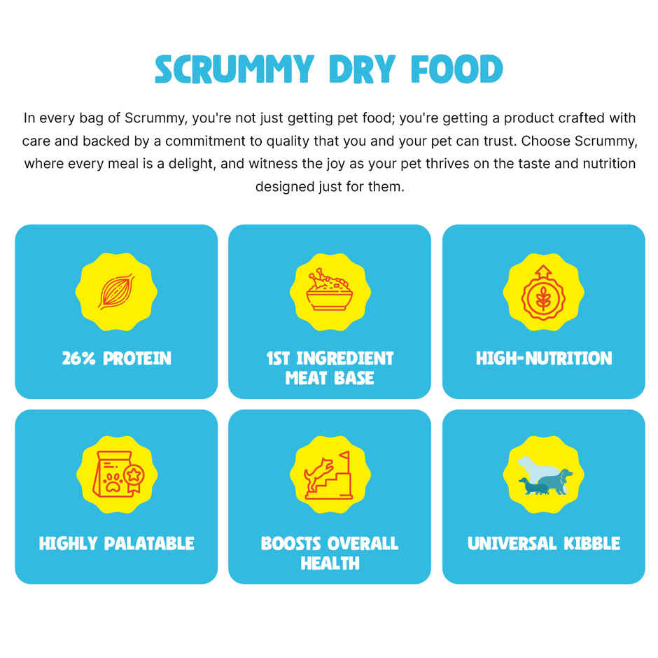Scrummy Chicken & Egg Dog Dry FOOD