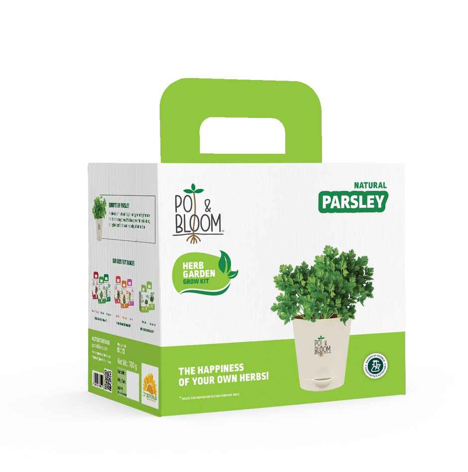 Pot And Bloom Parsley Kit