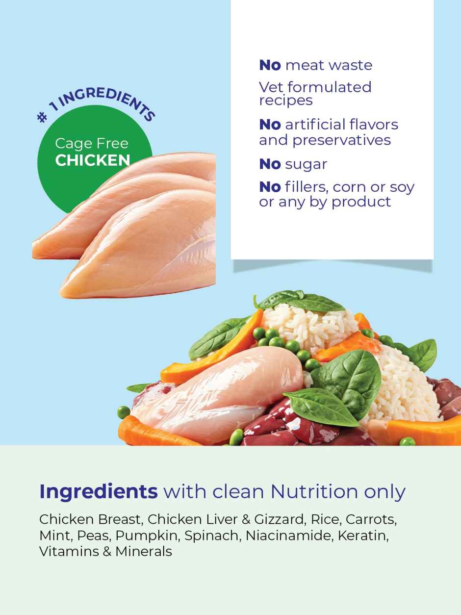 Wagsy - Chicken Biryani | Fresh Wet FOOD For Dogs