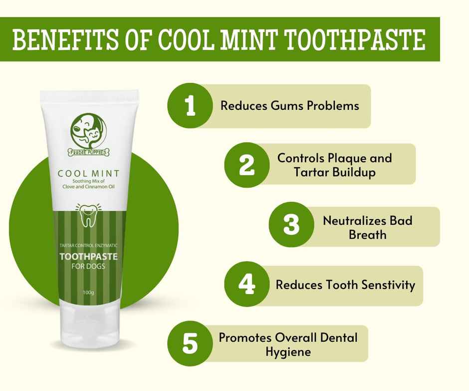 Foodie Puppies Coolmint Dog Toothpaste