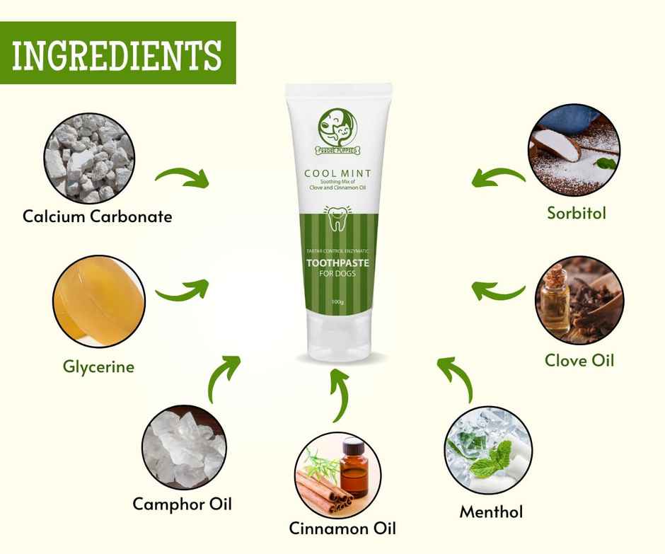 Foodie Puppies Coolmint Dog Toothpaste