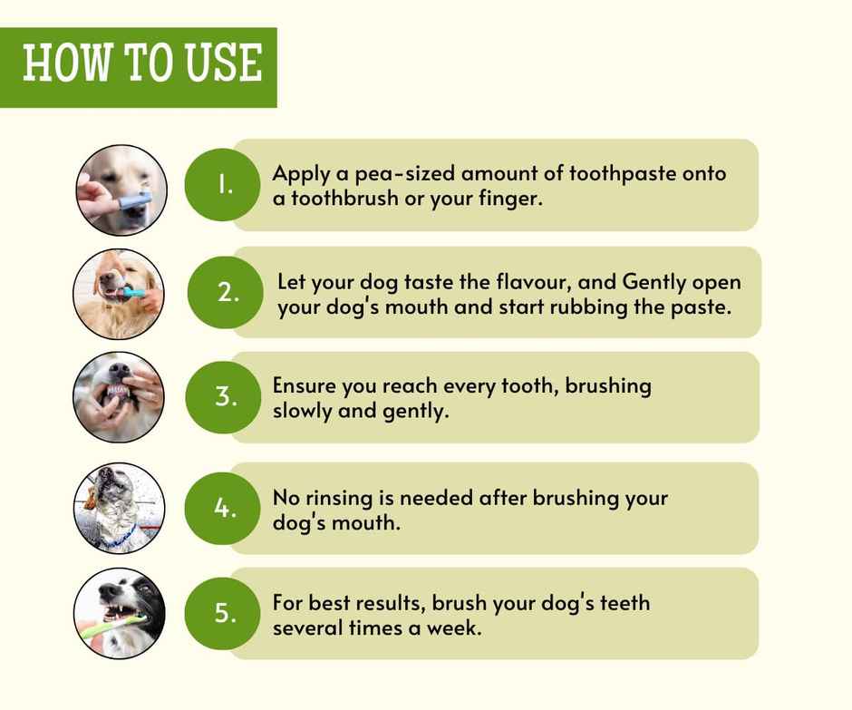 Foodie Puppies Coolmint Dog Toothpaste