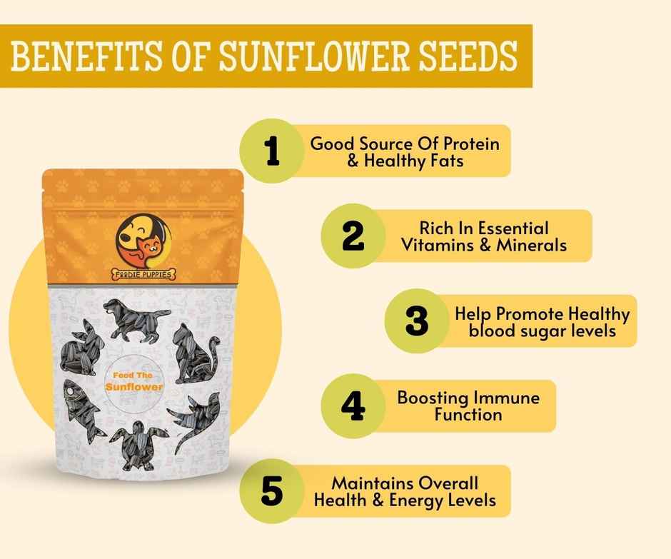 Foodie Puppies Striped Sunflower Seeds Bird Food