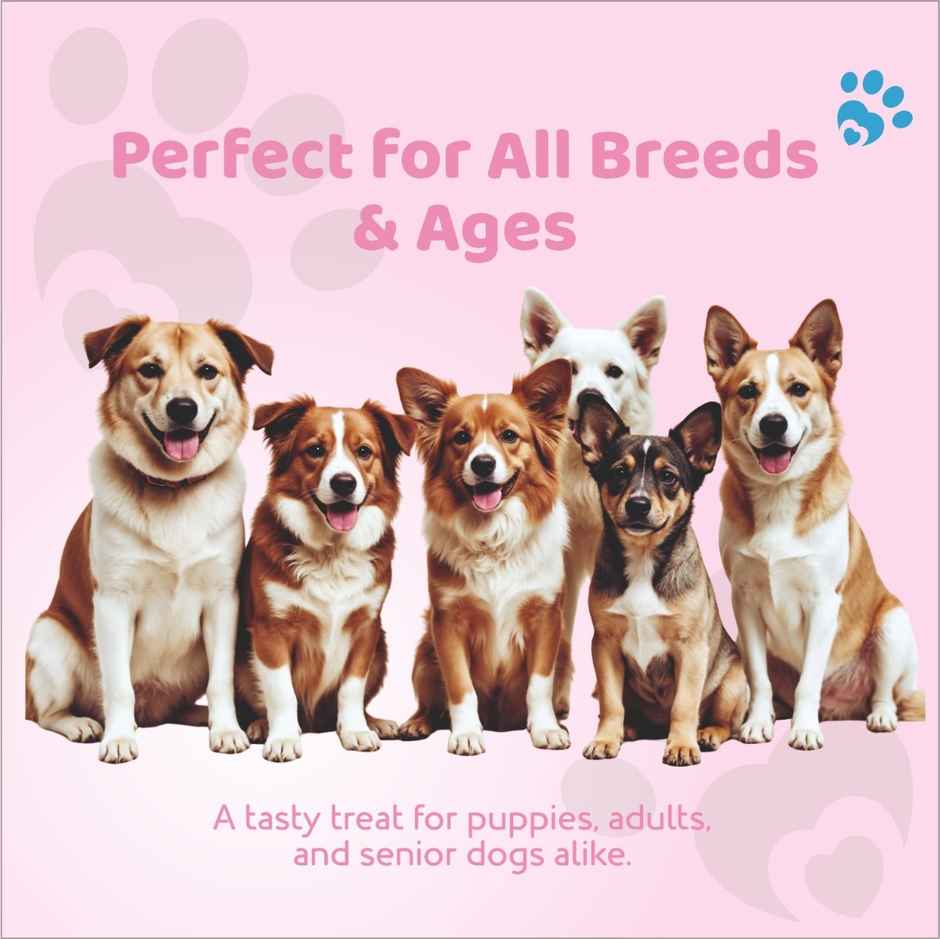 Petoska Dog Treats Chicken and Strawberry Mini Donuts