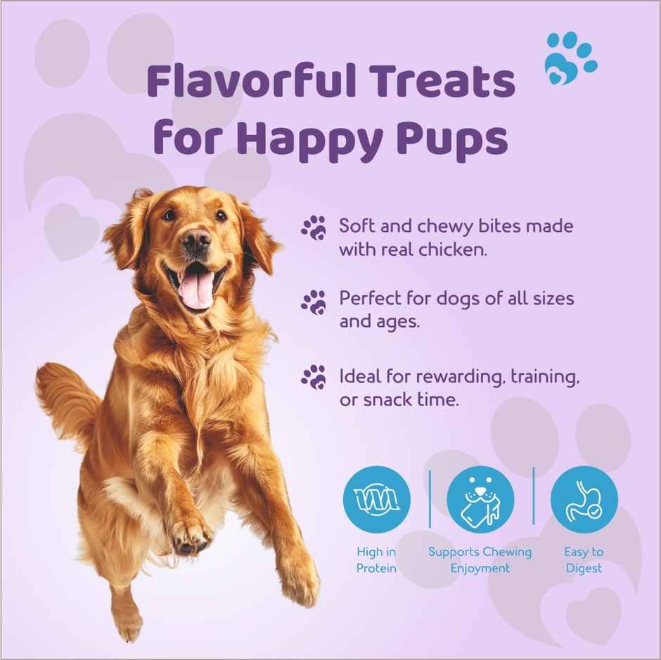 Petoska Dog Treats Smoked Chicken Salami