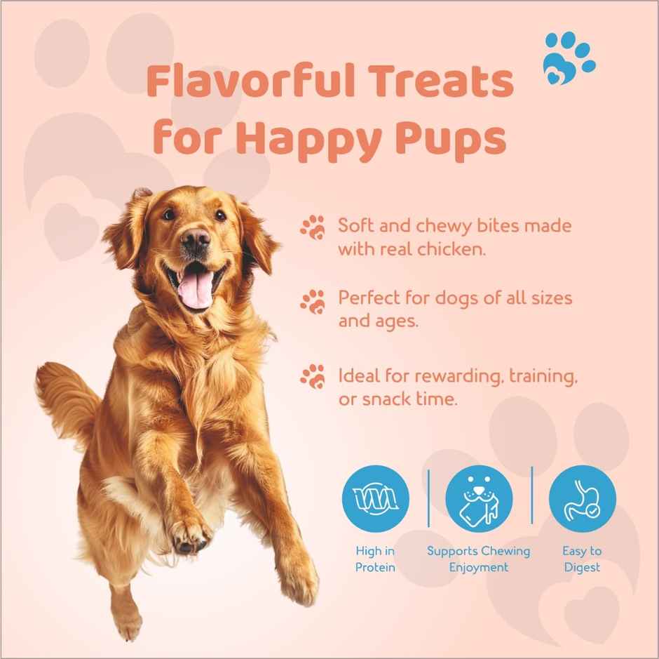 Petoska Dog Treats Chicken & Pumpkin Square Sticks