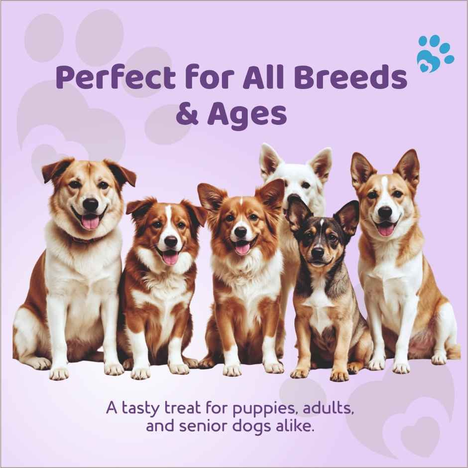 Petoska Dog Treats Smoked Chicken Salami