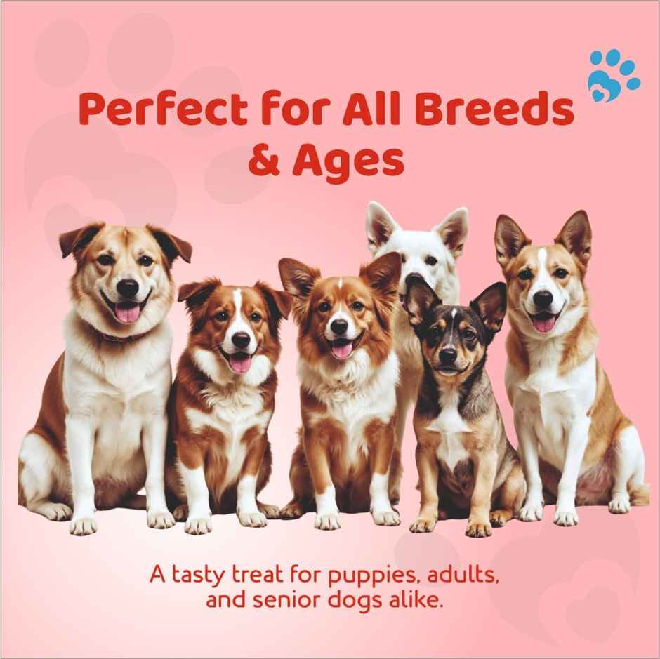 Petoska Dog Treats Chicken Jerky Combo