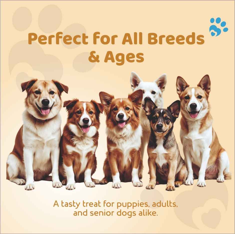 Petoska Dog Treats Meat Jerky