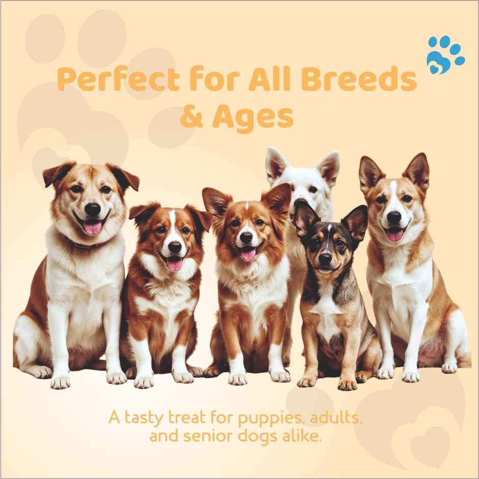 Petoska Dog Treats Chicken Honey Sticks Combo