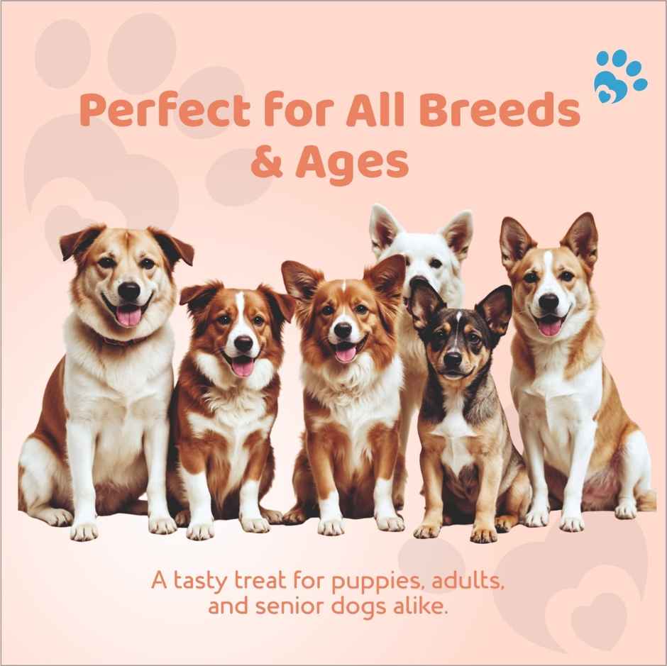 Petoska Dog Treats Chicken & Pumpkin Square Sticks