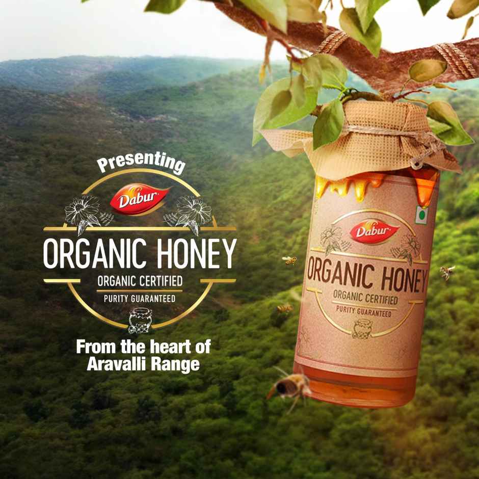 Dabur Raw Organic Honey | Totally Pure and Natural | No Sugar Adulteration