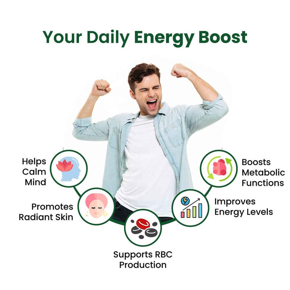 Himalayan Organics Vitamin B 120 VEG Tablets