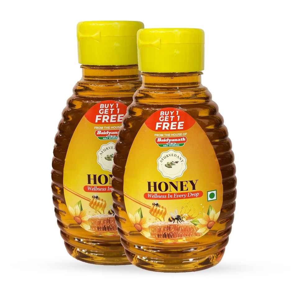 Baidyanath Ayurvedant Honey Squeeze Pack | BUY 1 GET 1 FREE