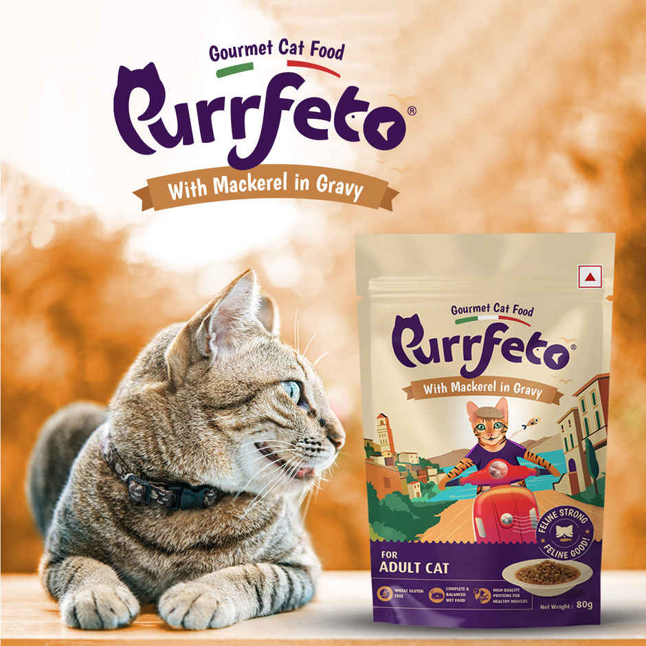 Purfetto Wet Cat FOOD With Mackerel In Gravy