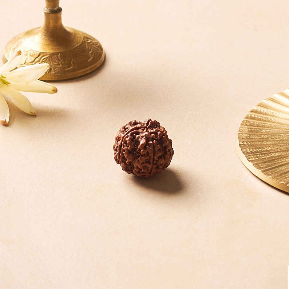 5 Mukhi Rudraksha | Single Bead with Wearing Thread | Svasti