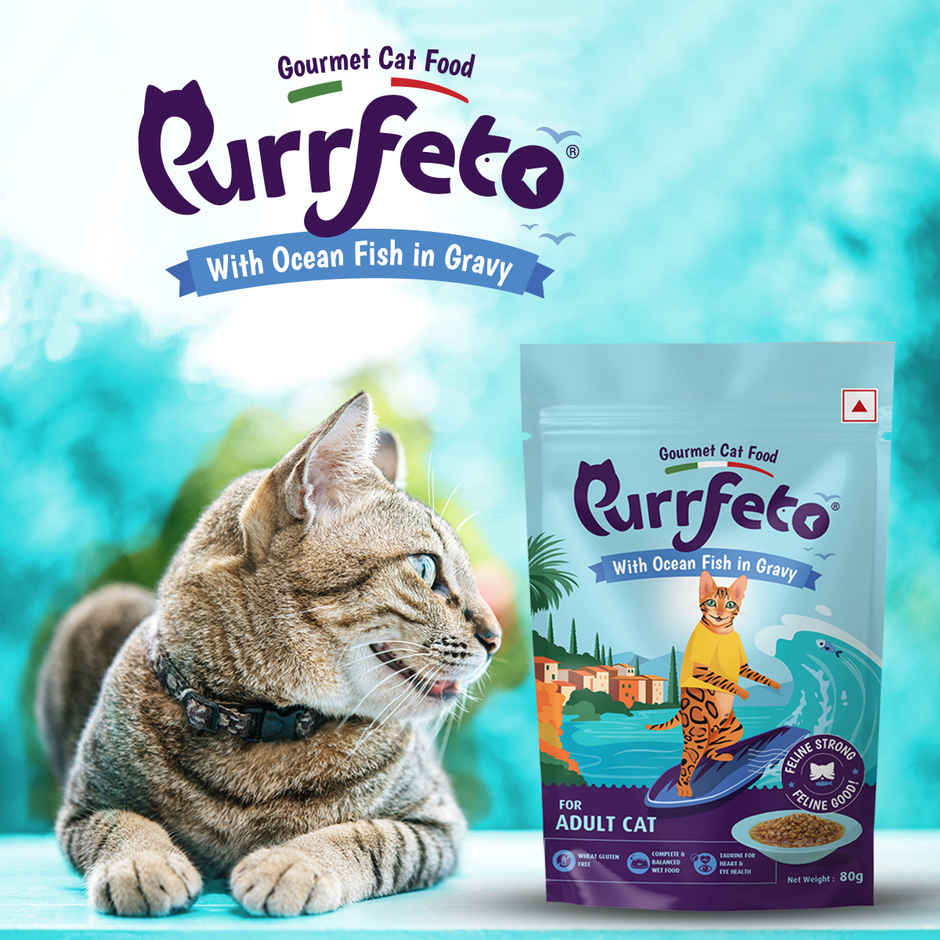 Purfetto Wet Cat FOOD With Ocean Fish In Gravy