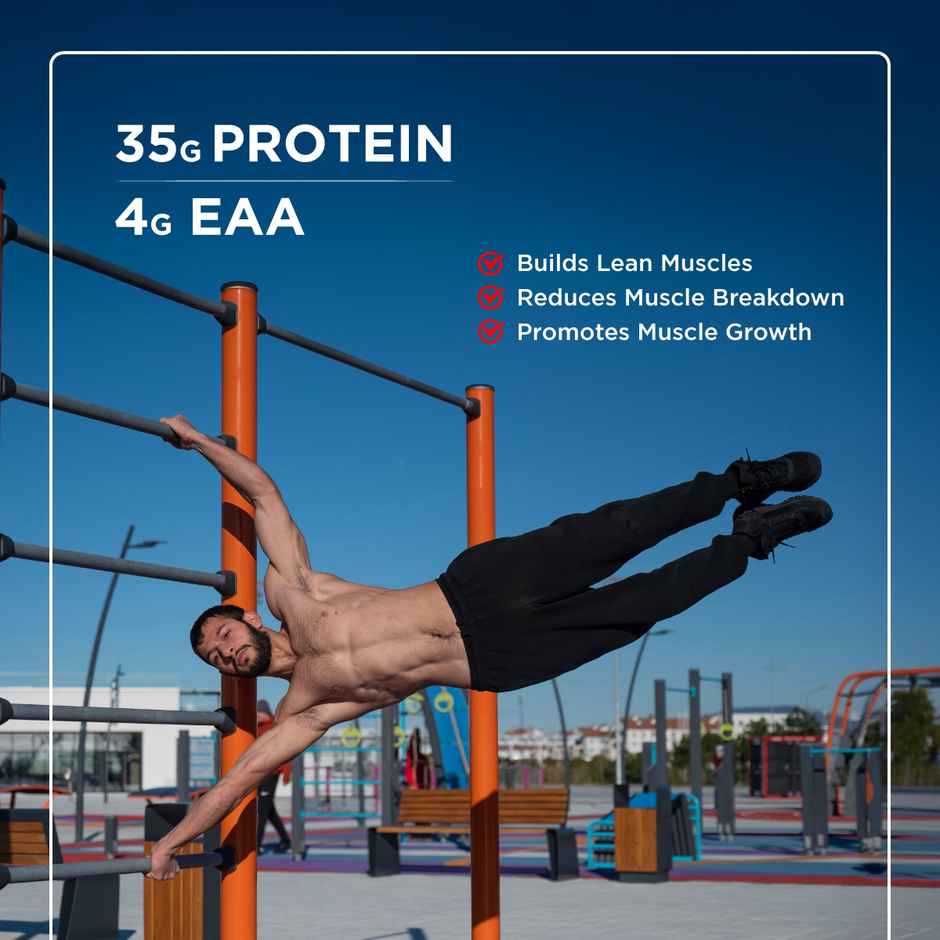 Big Muscles Nutrition Essential Whey Protein | Dutch Chocolate | Digestive Enzymes