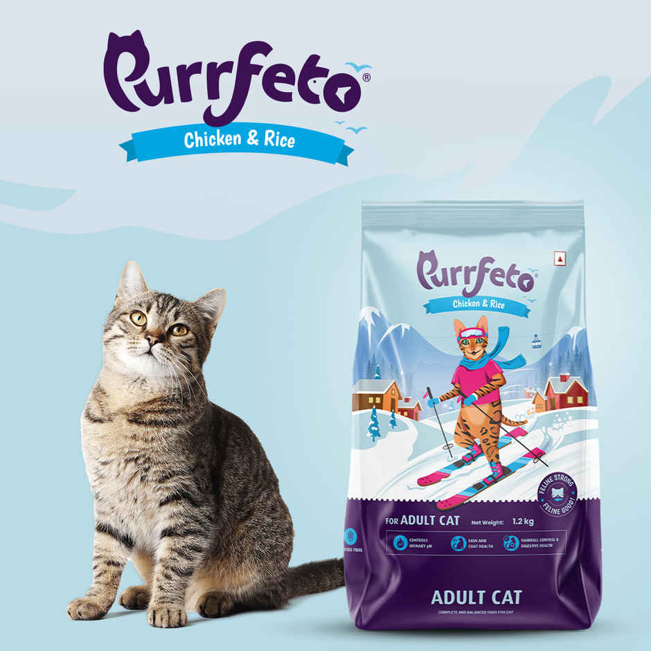 Purrfeto Dry Cat Food Chicken & Rice | Adult