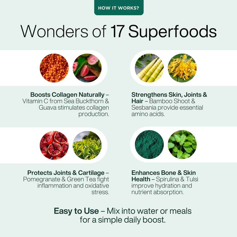 Puretive Daily Collagen Regular Malt Drink Mix