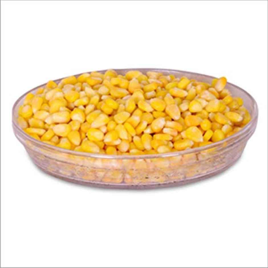 SPT Frozen Sweet Corn