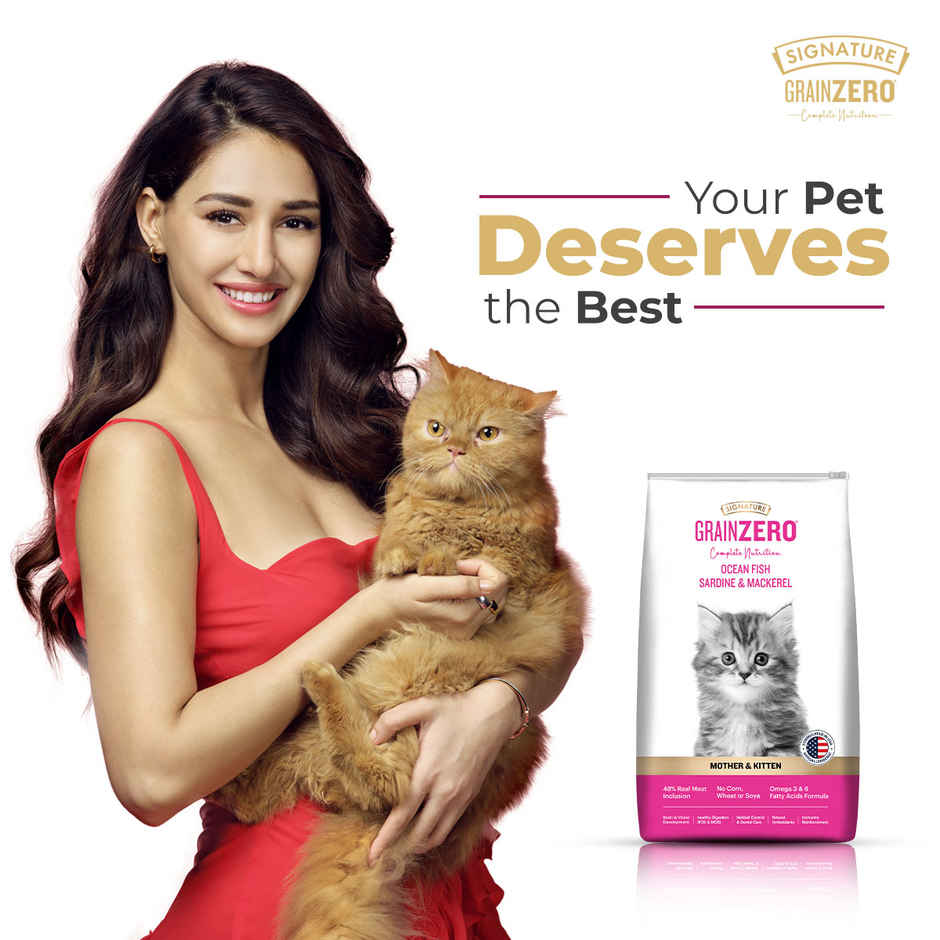 Signature Grain Zero Mother and Kitten Dry Cat Food | Ocean Fish Sardines & Mackerel