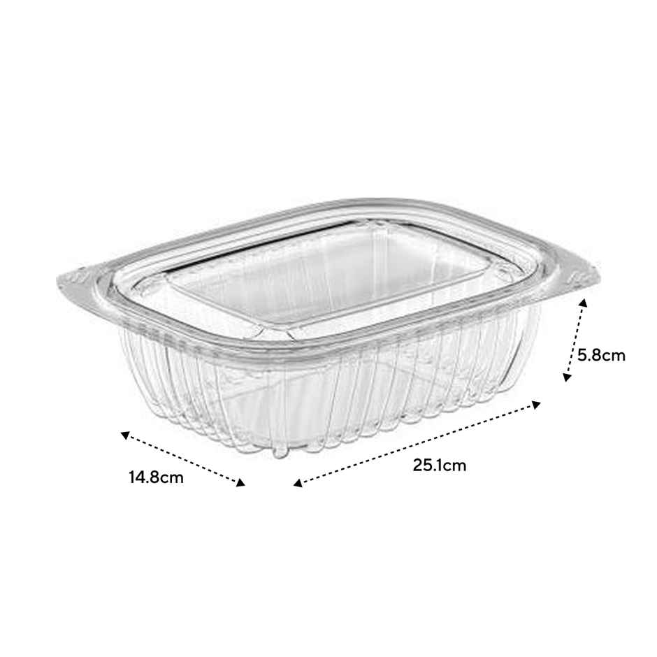 Plastic Hinge Box | Pack Of 10 | 250 ml | Tempware