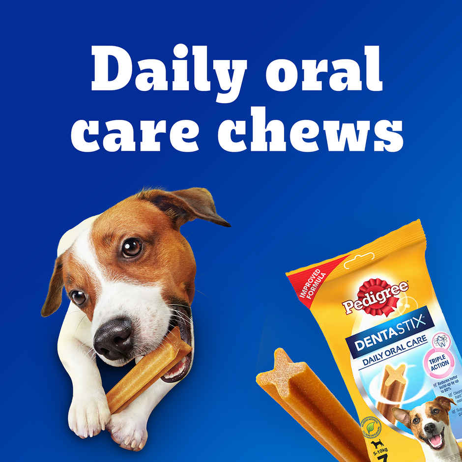 Pedigree Dentastix Adult Small Breed (5-10 Kg) Oral Care Dog Treat Combo