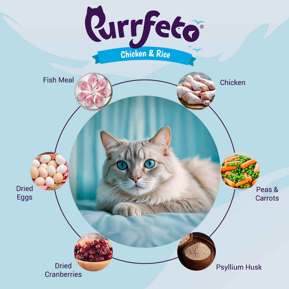 Purrfeto Dry Cat Food Chicken & Rice | Adult
