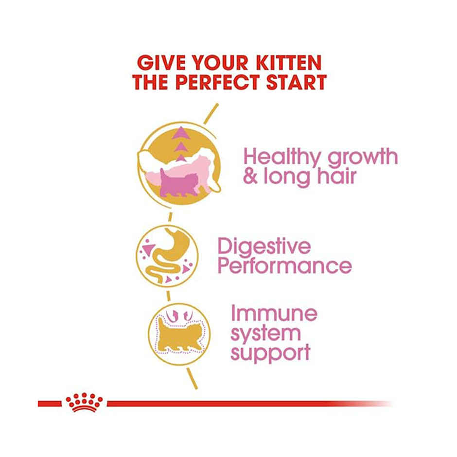 Royal Canin Persian Kitten Cat Dry Food 2Kg
