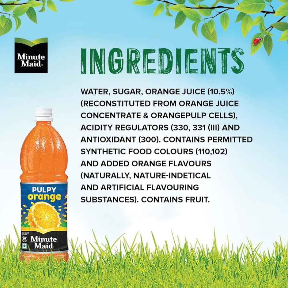 Minute Maid Pulpy Orange Fruit Juice | Fruity & Refreshing