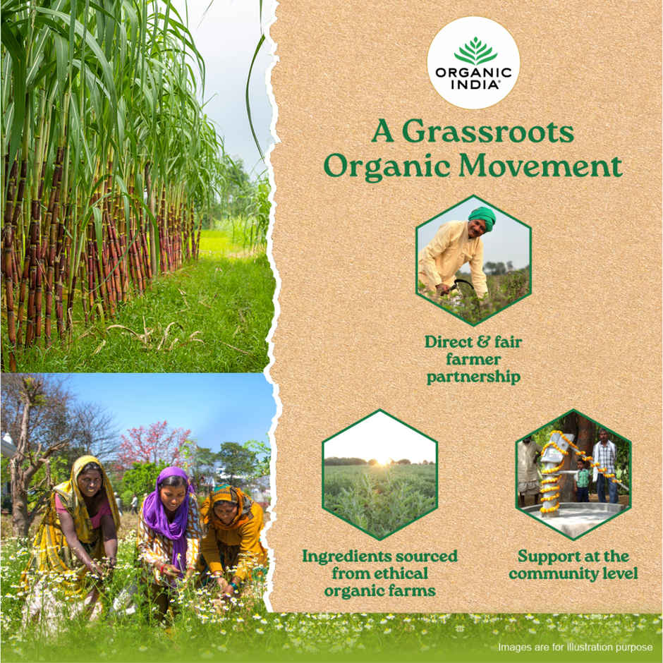 A TATA Product - Organic India Desi Khandsari Sugar (Unrefined Brown Sugar)