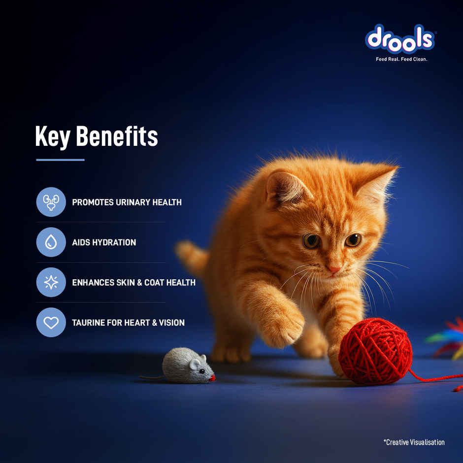 Drools Ocean Fish Mousse Kitten Wet Food