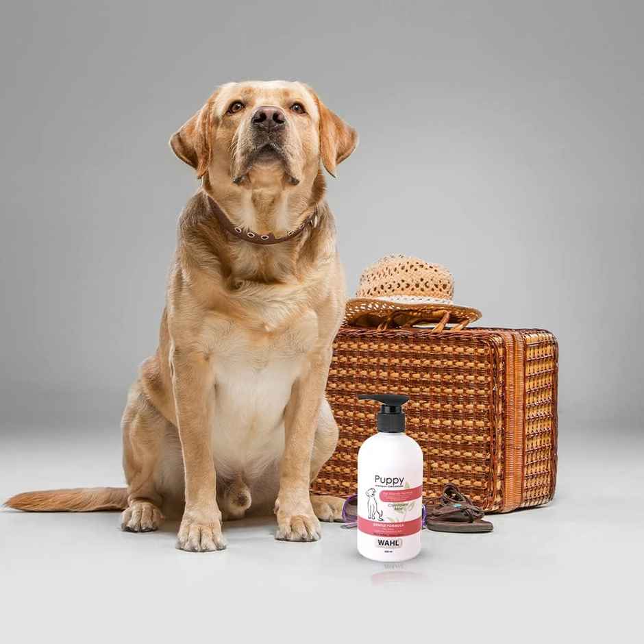 Wahl Puppy Shampoo - Cornflower And Aloe