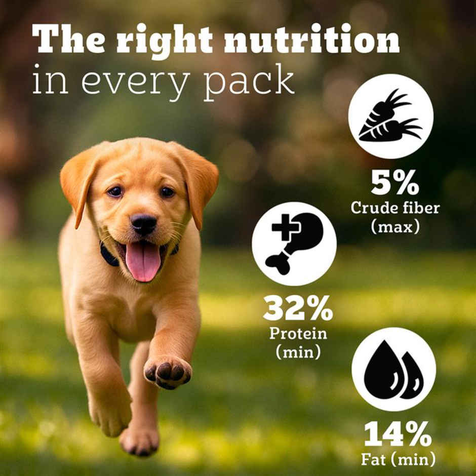 Pedigree PRO Puppy Large Breed Dry Dog Food - 3 to 18 Months