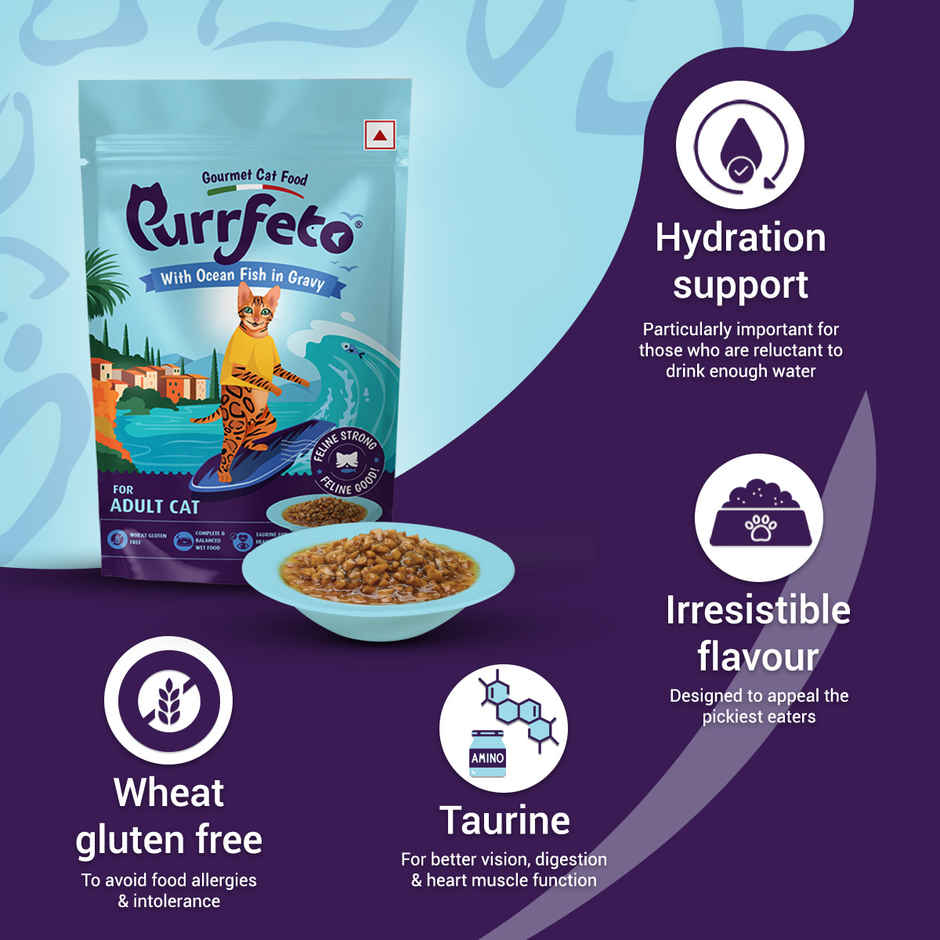 Purfetto Wet Cat FOOD With Ocean Fish In Gravy