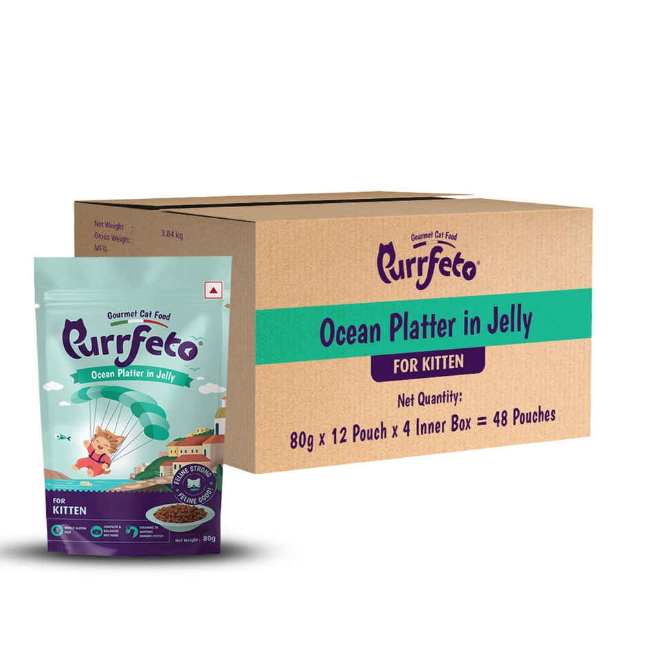 Purrfeto Wet Cat food Oceanfish recipe in Jelly | Kitten | Pack of 12