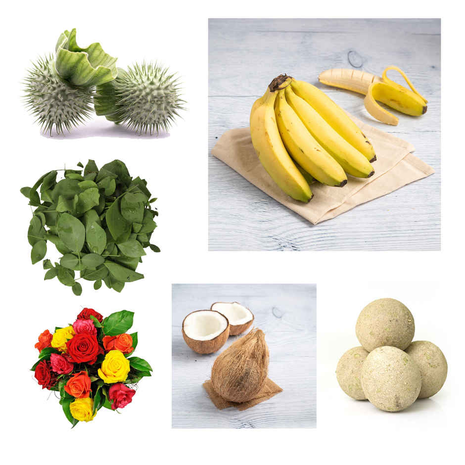 Bel Patra (50g) & Dhatura For Pooja (1pc) & Coconut (1pc) & Wood Apple (2pc) & Banana (4pc) & Rose Flower Mix (100g) Combo