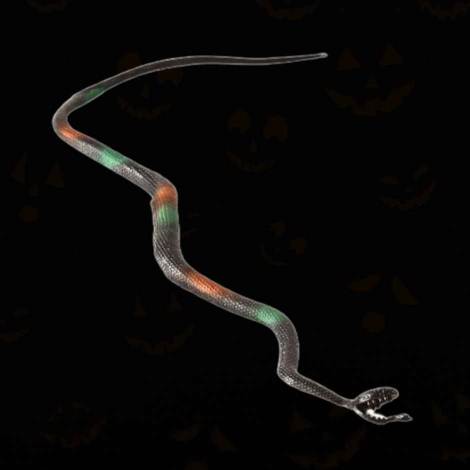 Fake Snake | Halloween Special | Festvista