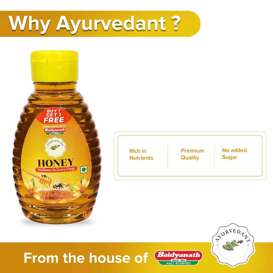 Baidyanath Ayurvedant Honey Squeeze Pack | BUY 1 GET 1 FREE